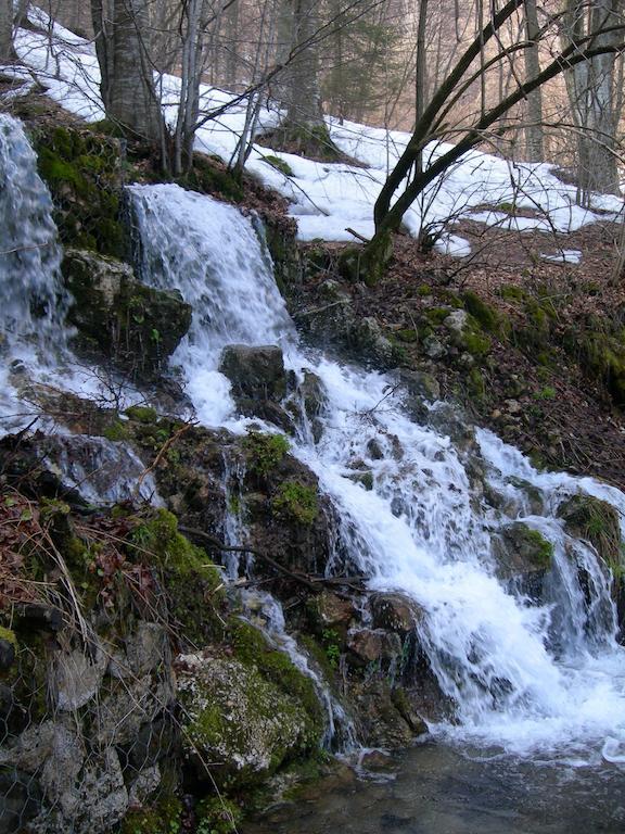 Rifugio Monte Baldo Hotel Avio Phòng bức ảnh